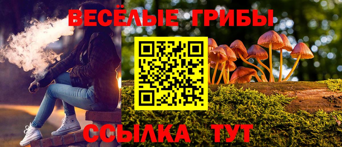 Псилоцибиновые грибы Psilocybine cubensis  Вход с VPN  Аргун  Псилоцибиновые грибы ЛСД 
